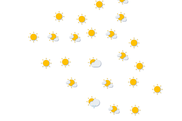 Forecast