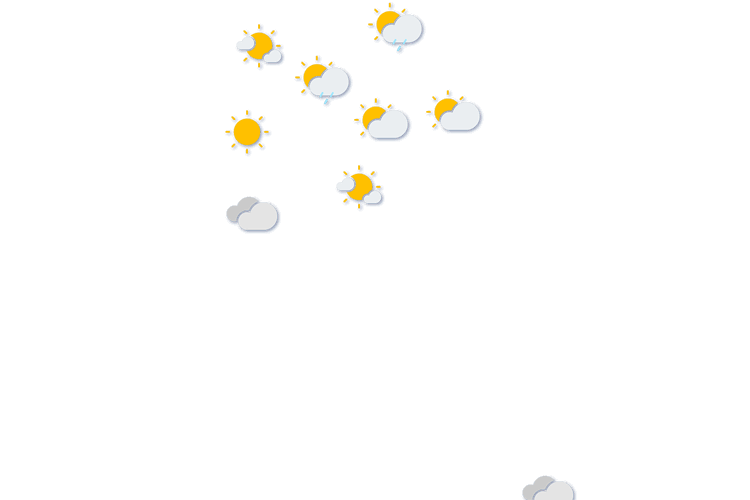 Forecast