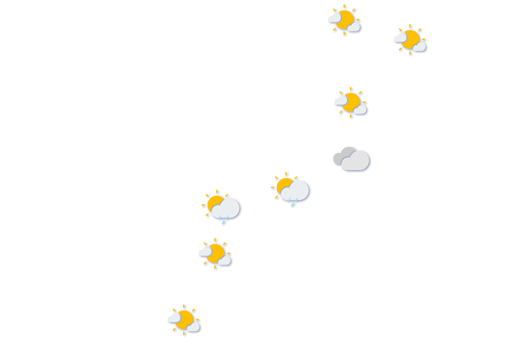 Forecast