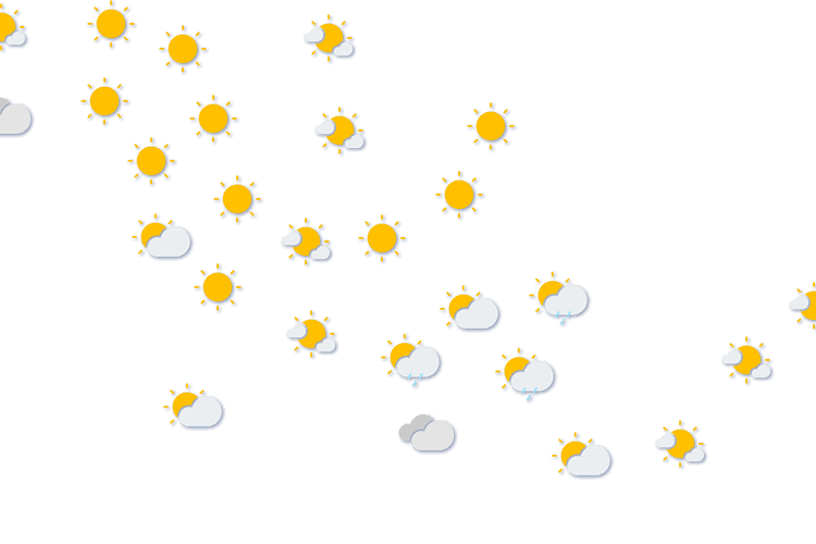 Forecast