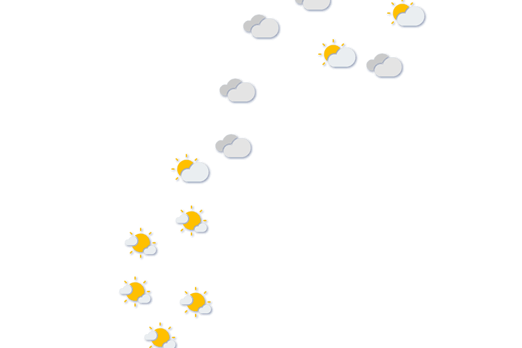 Forecast