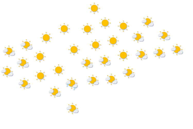 Forecast