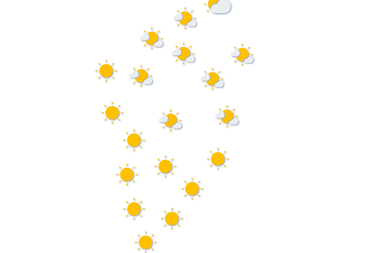 Forecast