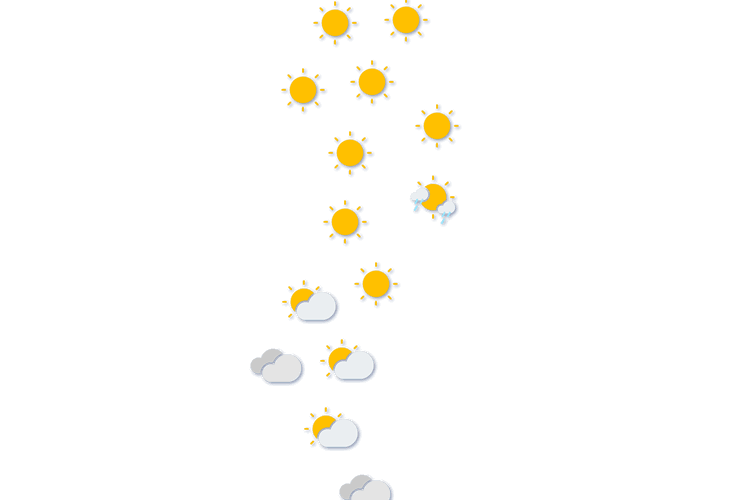 Forecast
