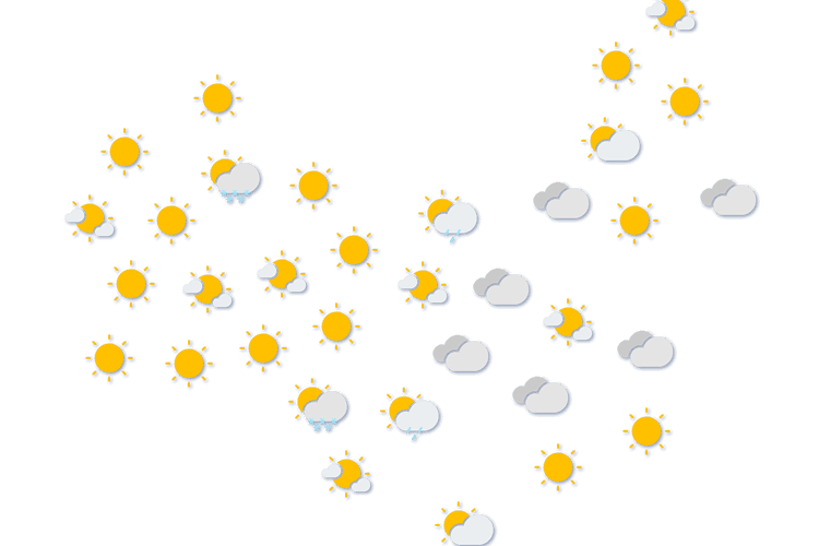 Forecast