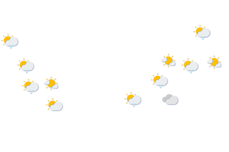Forecast