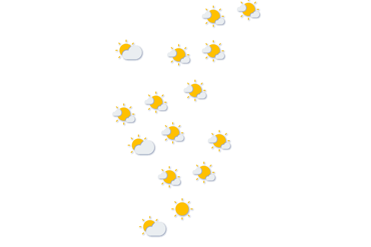 Forecast