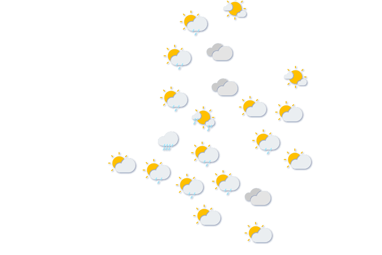 Forecast