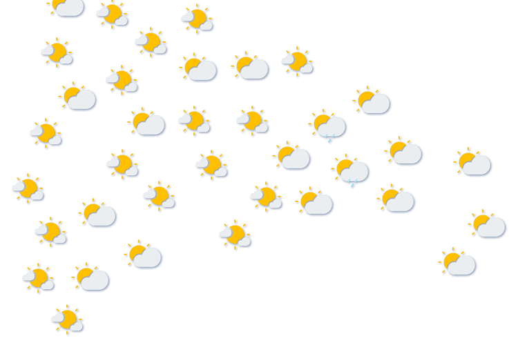 Forecast