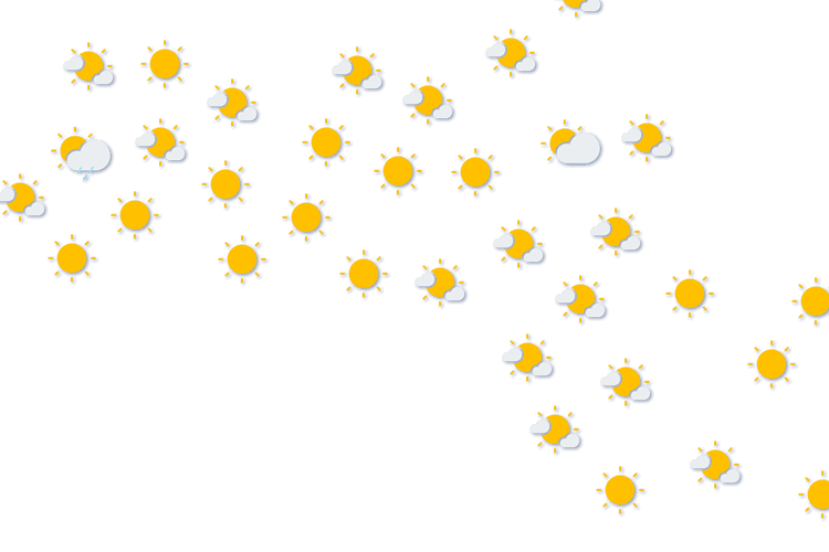 Forecast