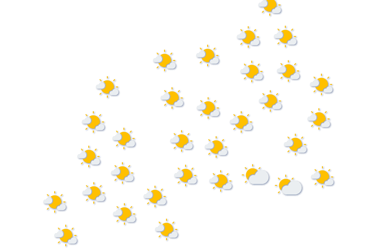 Forecast
