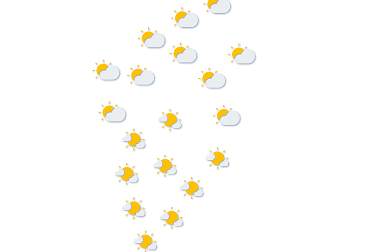 Forecast