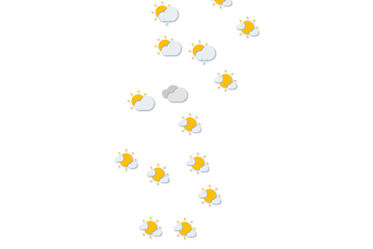Forecast