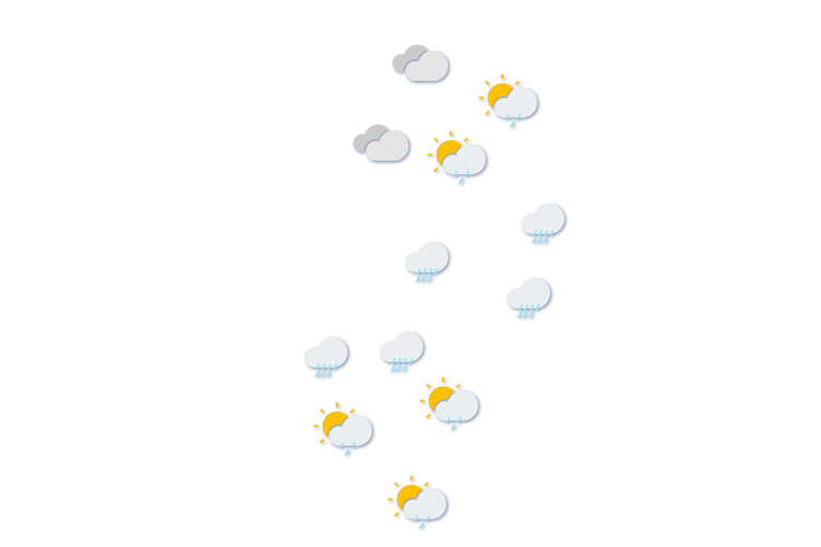 Forecast