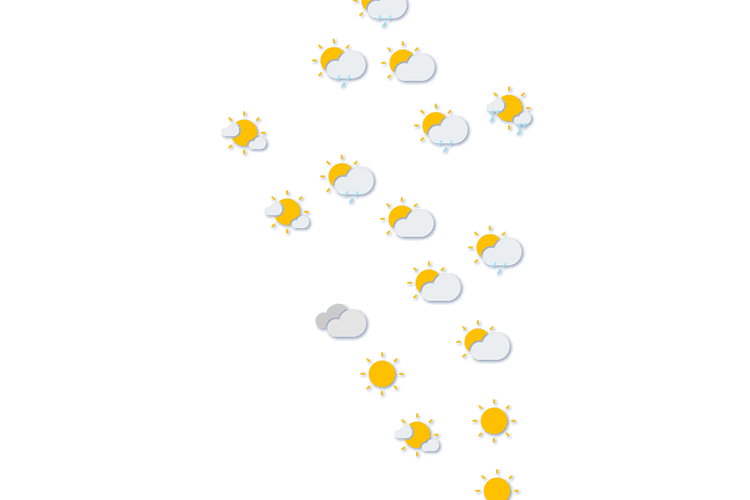 Forecast