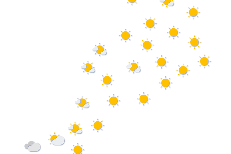Forecast