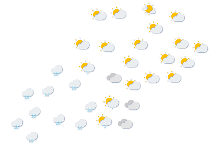 Forecast
