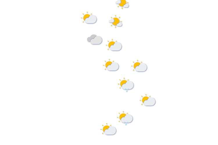 Forecast
