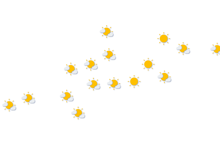 Forecast