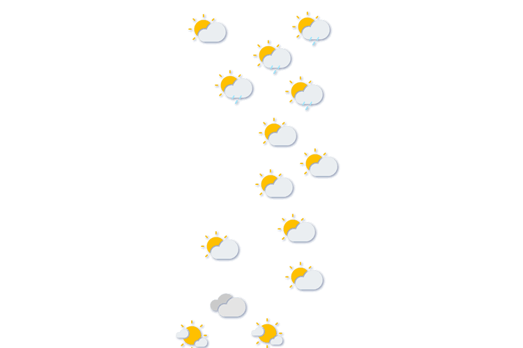 Forecast