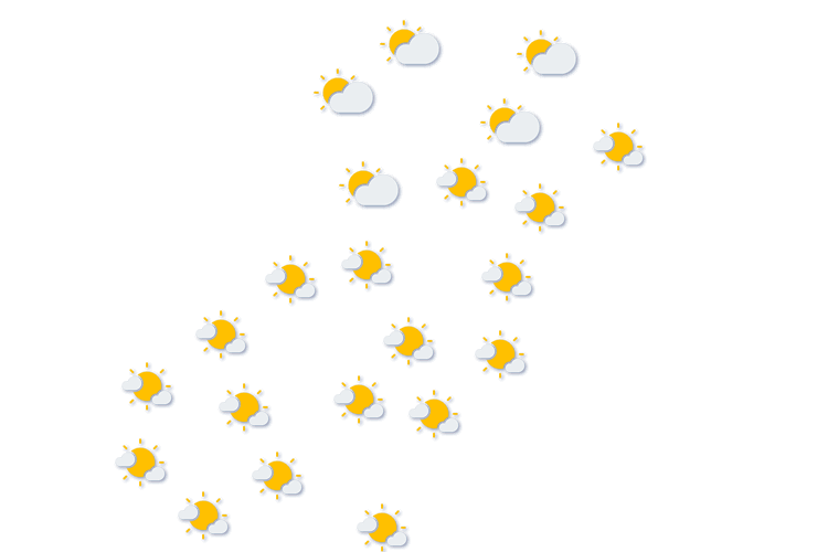 Forecast