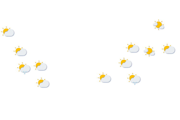Forecast