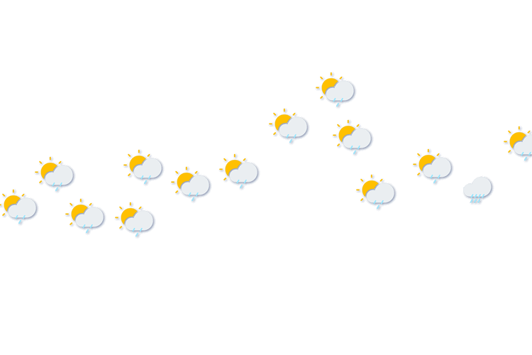 Forecast