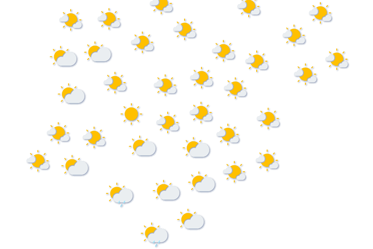 Forecast