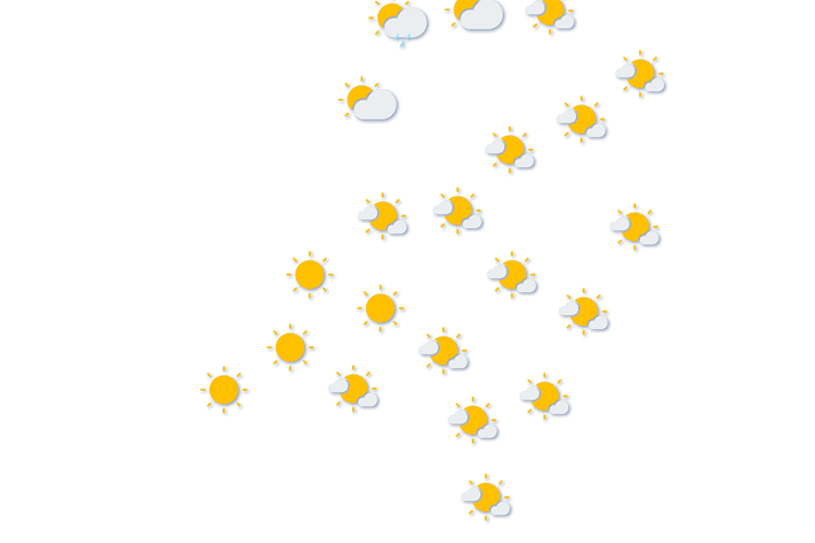 Forecast