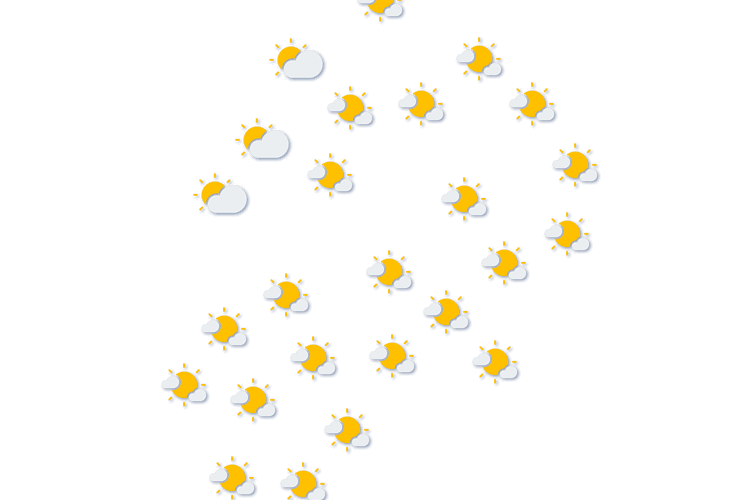 Forecast