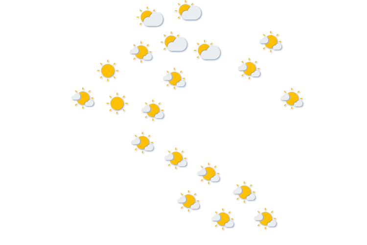 Forecast
