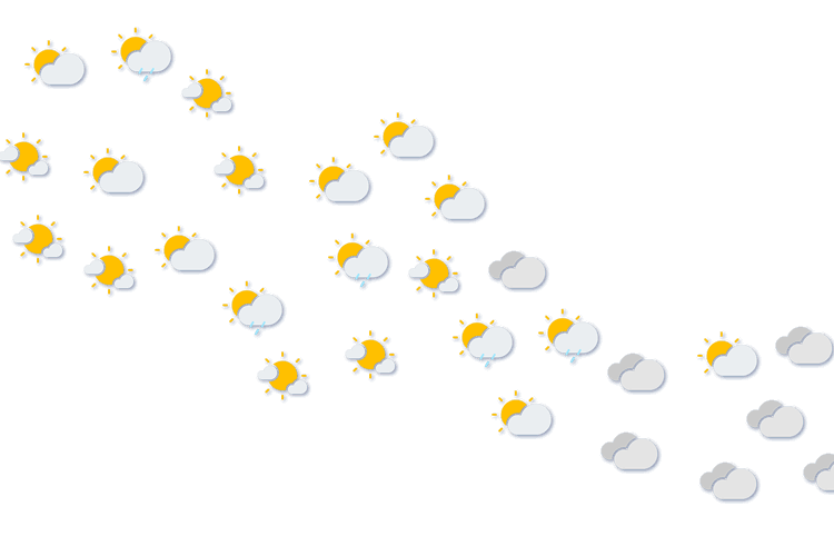 Forecast