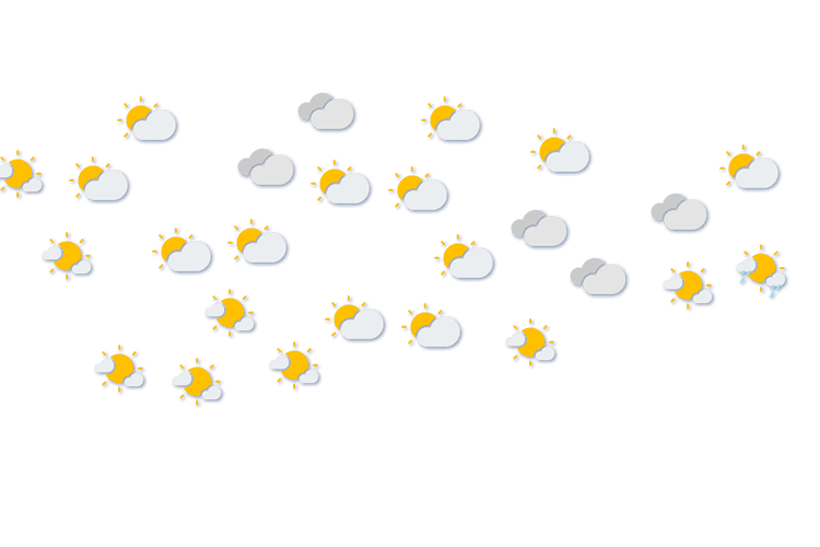 Forecast