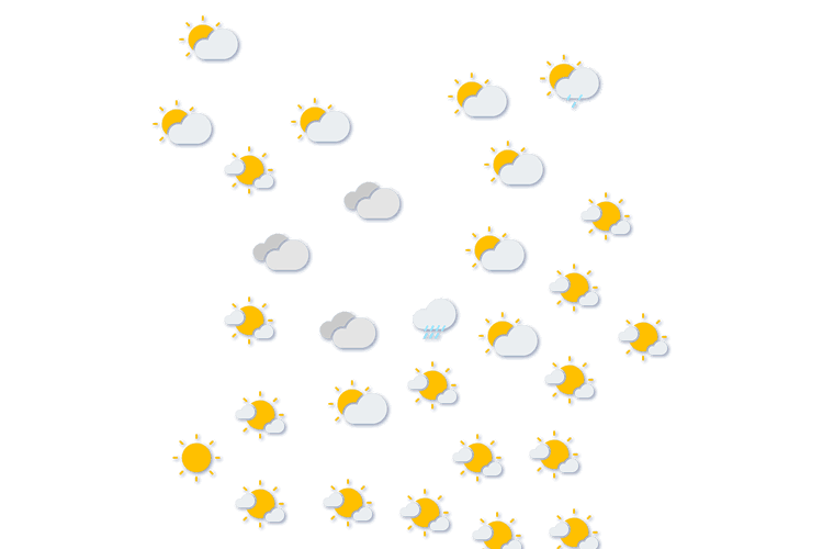 Forecast