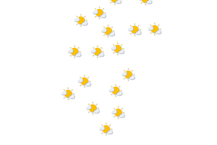 Forecast
