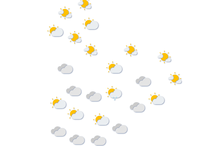 Forecast