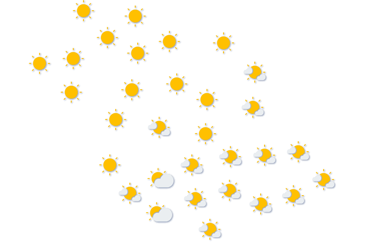 Forecast