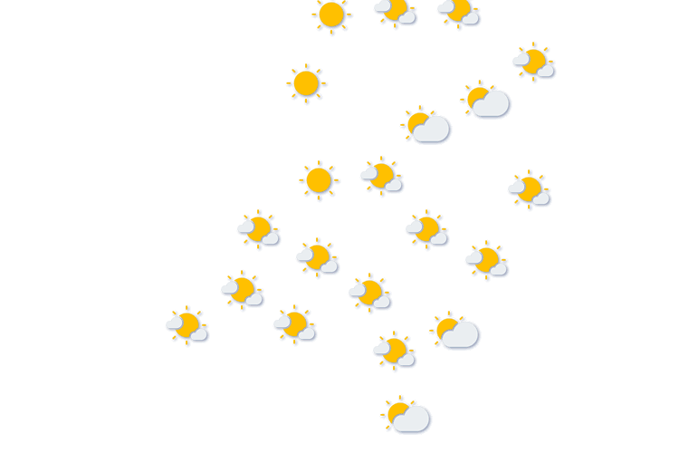 Forecast