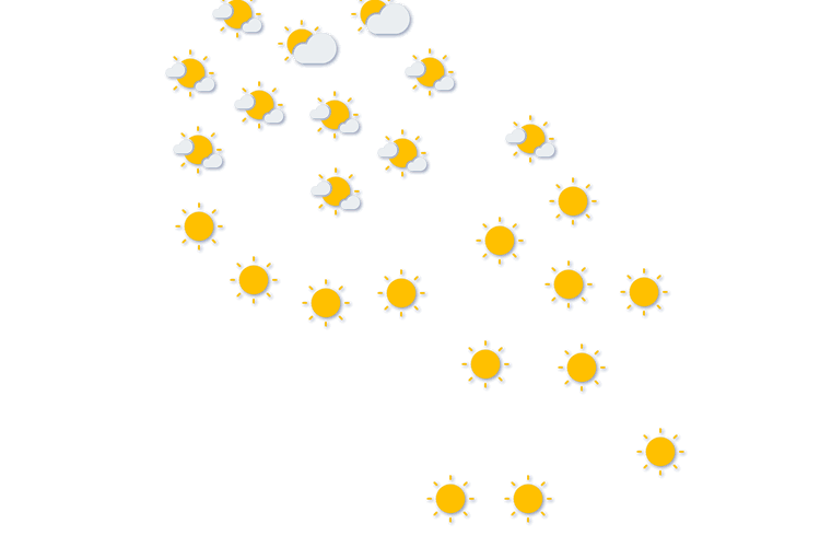 Forecast