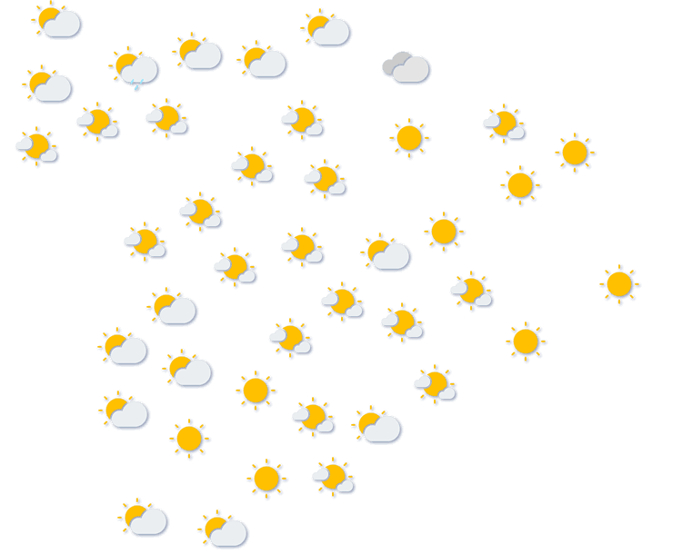 Forecast