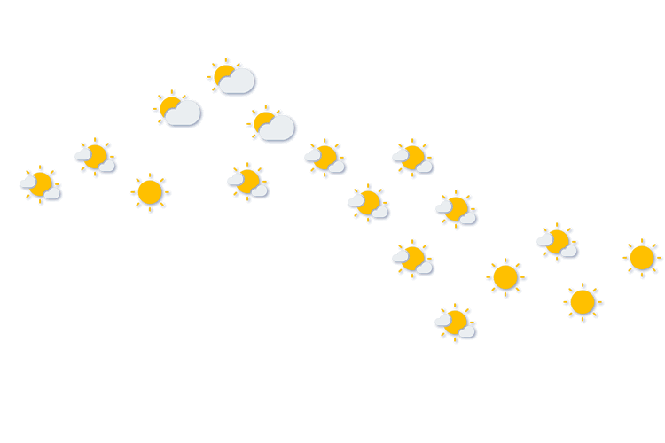 Forecast