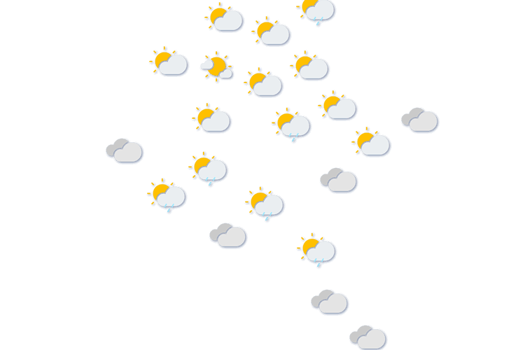 Forecast