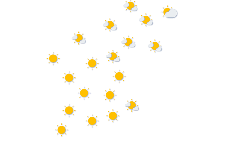 Forecast