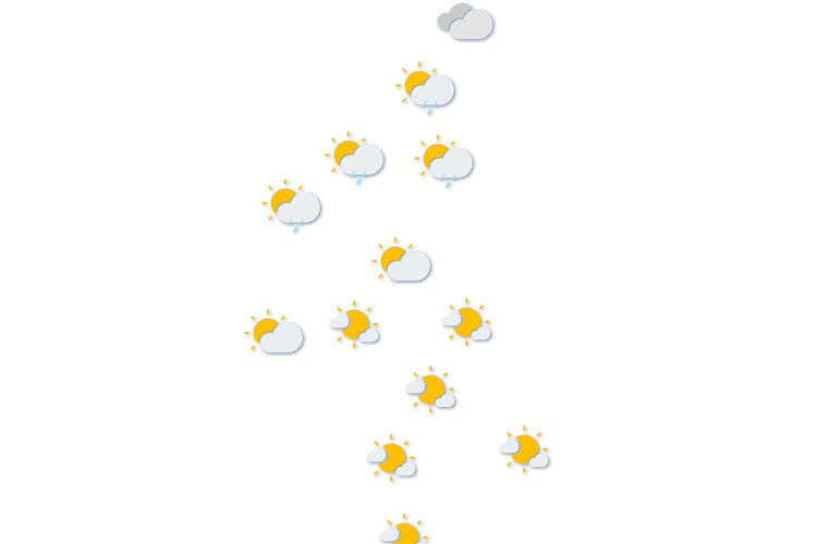 Forecast