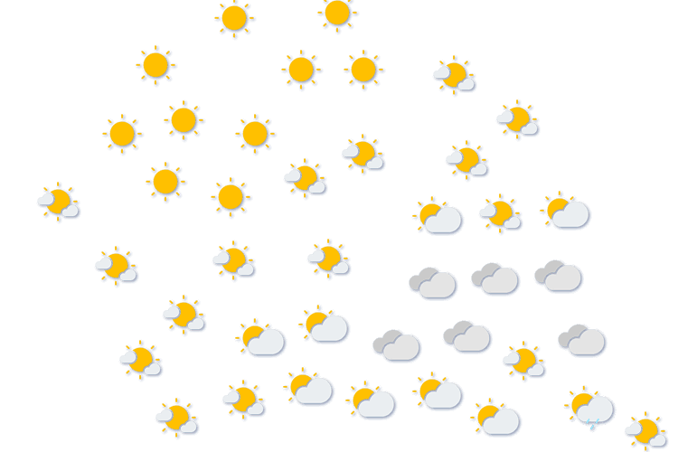 Forecast
