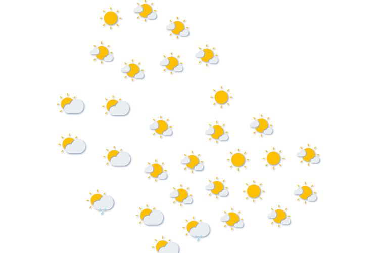 Forecast