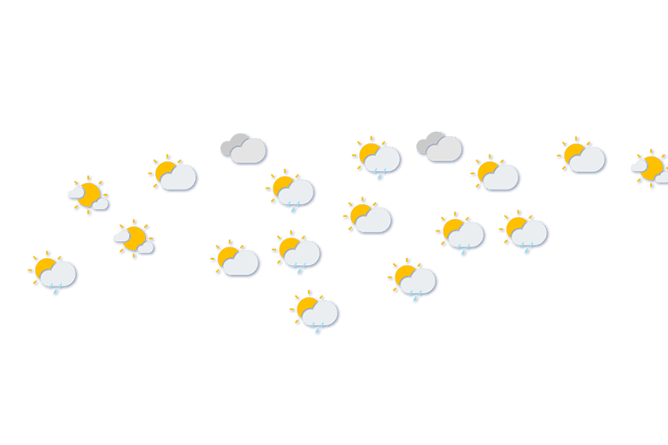 Forecast