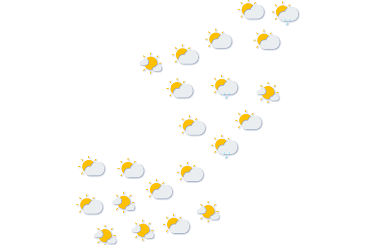 Forecast