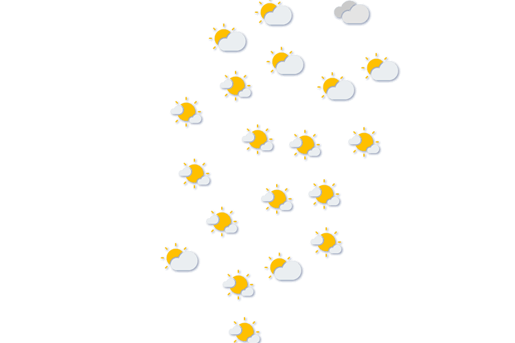 Forecast