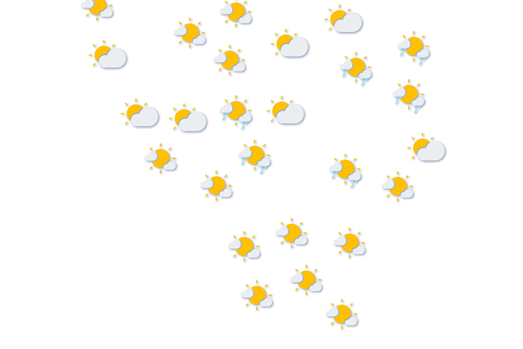 Forecast